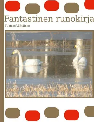 Produktbild von Fantastinen runokirja