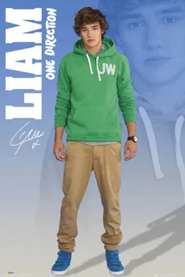 Obrázek produktu pro One Direction - Plakát - Liam 2012