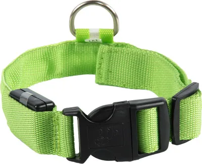 Produktbild von Hundehalsband Leuchthalsband Hund LED USB Aufladbar Akku Halsband Gr. S M L XL Farbe Grün - Aufladbar USB Größe Gr. L (41 - 52cm)