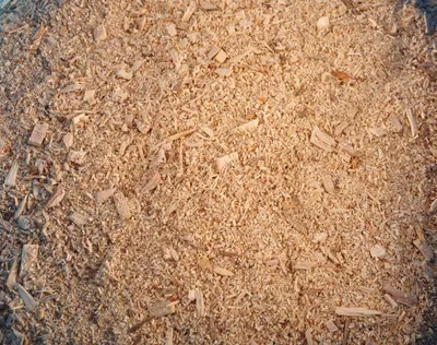 Image de Copeaux de hêtre Pollmeier copeaux de fumage farine de fumage contenu 30KG copeaux de hêtre sciure de bois