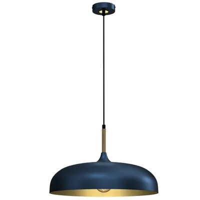 A single pendant light fixture.