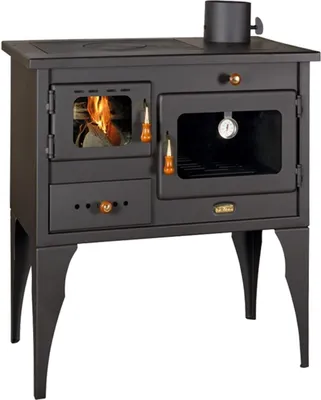 A black wood-burning stove with an oven and a stovetop.