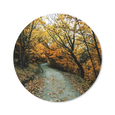 Produktbild von MuchoWow® Mauspad Mousepad Blätter - Herbst - Wald 30x30 cm - Mousepads - Maus Mat - Pad - Mausunterlage - Tischunterlage - Schreibtischmatten