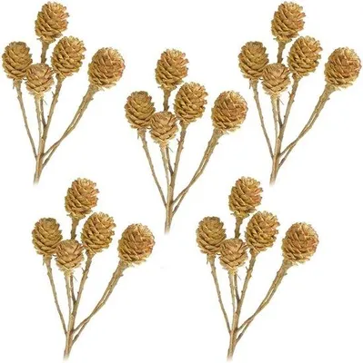 Produktbild von Natürliche Salignumzweige - Naturliche Dekoration - Blumenarrangements - 6 Stiele ohne Blätter - 5 Stücke - Natur