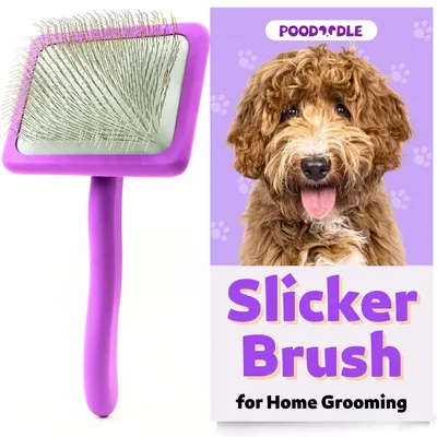 Produktbild von Hundeürste, für Doodle, Holzbürste für langhaarige Hunde, Filzentferner