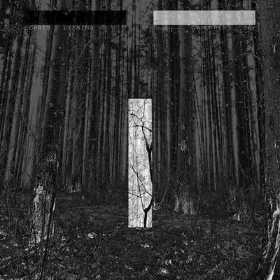 Produktbild von Another Day