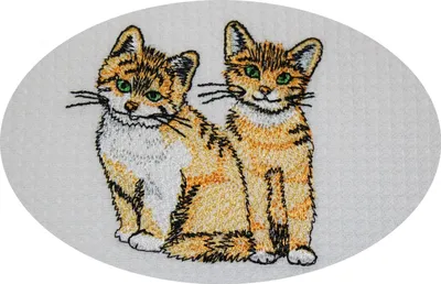 Produktbild von Triolino Waffelpique-Geschirrtuch Küchentuch 100% Baumwolle schöne Stickerei, Grösse:50 cm x 70 cm, Farbe:Katze