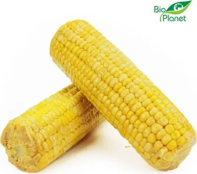 Produktbild von GEKOCHTER -MAIS (ca. 0,40 kg)