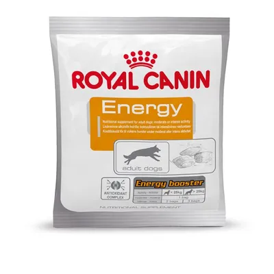 Produktbild von Royal Canin NUTRITIONAL SUPPLEMENT ENERGY - Nassfutter für Hunde - 50 g