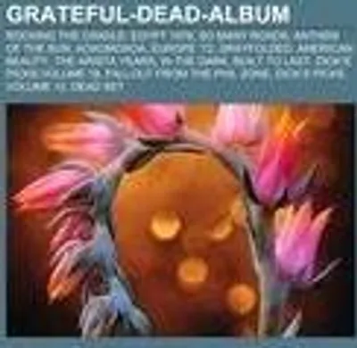 Produktbild von Grateful-Dead-Album
