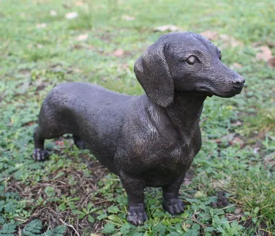 Produktbild von Bronzefigur Dackel - Dachshund