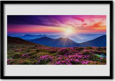 Produktbild von Bild 70x50 MDF-Rahmen Wandkunst Sun Mountain Meadow Landschaft