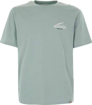 Obrázek produktu pro Dickies T-shirt DK0A8639J591 in Blue color size medium