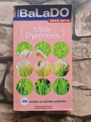 Image de Midi-Pyrénées - 2009-2010