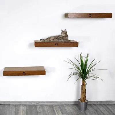 Produktbild von SET 3 Kratzbäume CLOUD CATWALK | Canadian Cat | WALNUSS | Wandmontage | 70x30x8 cm