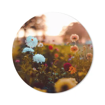 Produktbild von MuchoWow® Mauspad Mousepad Blumen - Frühling - Sonne - Jahreszeiten 40x40 cm - Mousepads - Maus Mat - Pad - Mausunterlage - Schreibtisch Accessoires
