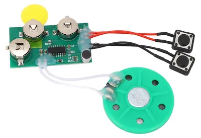 Immagine prodotto di Chip per biglietti d'auguri fai da te, modulo vocale registrabile per 120 secondi