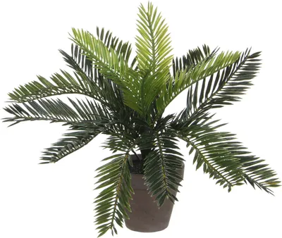 Obrázek produktu pro Slídové dekorace Umělá rostlina palma cycas v květináči - V33 x Ø34 cm - zelená