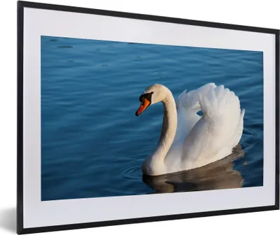 Produktbild von MuchoWow® Gerahmtes Poster Schwan - Wasser - Vogel - Weiß 60x40 cm - Poster mit Schwarzem Bilderrahmen Wandposter Rahmen Foto Bilder - Schlafzimmer - Plakat in Rahmen - Drucken