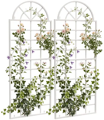 Produktbild von CLP Rankgitter Viva 2er Set aus Eisen mit Rundbogen und Wandhalterung für den Garten | Farbe weiß, KI-generiertes Bild