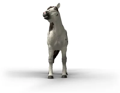 Produktbild von Schleich GmbH Knabstrupper Wallach Sonstige