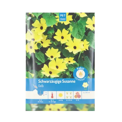 Produktbild von Schwarzäugige Susanne | Schwarzäugige Susanne Samen von Carl Pabst
