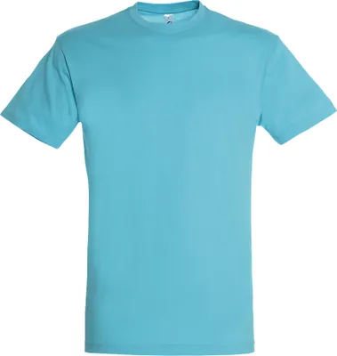Image de T-shirt SOLS Regent pour homme, manches courtes PC288 (3XL) (Aqua)