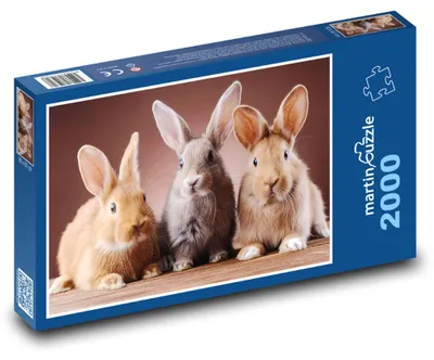 Obrázok produktu pre martinpuzzle - Puzzle 2000 - Zajíci