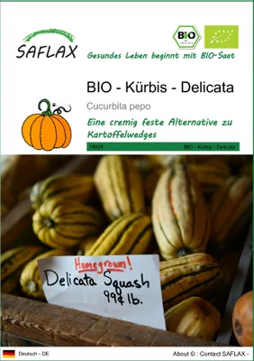 Produktbild von SAFLAX - BIO - Kürbis - Delicata - 6 Samen - Cucurbita pepo