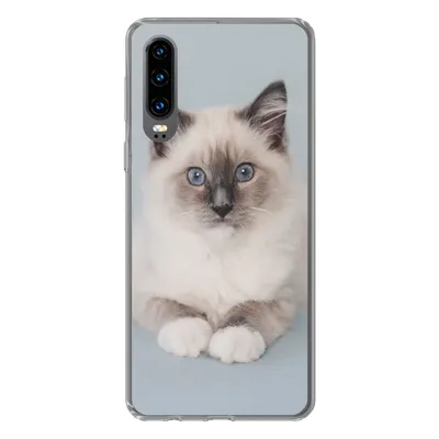 Produktbild von MuchoWow® Handyhülle Schutzhülle Hülle für Huawei P30 Katze - Ragdoll Katze - Blau - Mädchen - Kinder - Jungen - Kind Silikon Softcase Handy Hülle - Kartenbesitzer