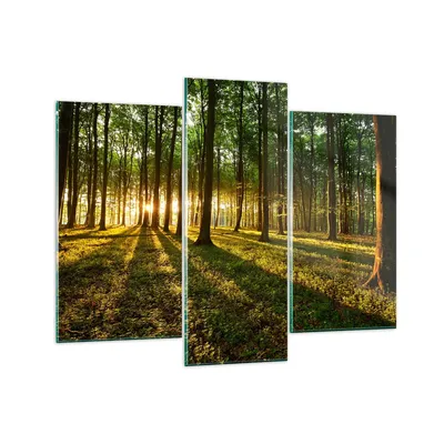 Produktbild von Bilder auf glas - Wald grün Sonnenstrahlen Natur - 130x100cm - Glasbilder - Wandbilder - Kunstdruck - zum Aufhängen bereit - Wanddekoration aus Glas - Glas Bilder - Wandbild auf Glas - GCB130x100-2510