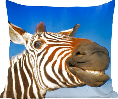 Produktbild von MuchoWow® Zierkissen Sofakissen Wohnzimmer Dekokissen 40x40 cm Zebra - Lustig - Kinder - Jungen - Mädchen - Foto Kissen - Schlafzimmer Dekoration