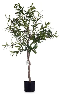Produktbild von Dekorationspflanze Olivenbaum grün Kunststoff (85 x 150 x 85 cm)