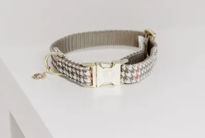 Immagine prodotto di Collare per cani Kentucky Dogwear Pied-de-Poule