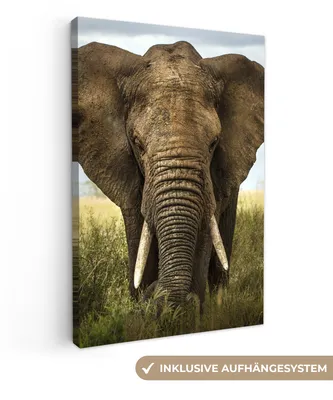 Produktbild von MuchoWow® - Leinwandbilder - Elefant - Natur - Gras - Tiere - Landschaft, Wandbild, Wanddeko Bilder Wohnzimmer, 60x90cm