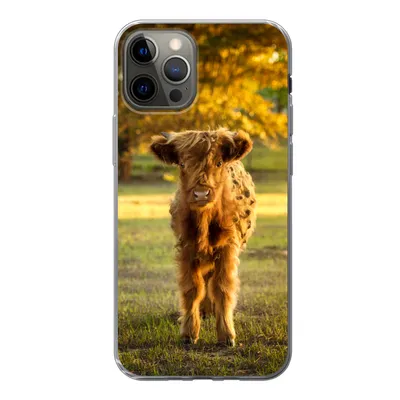 Produktbild von MuchoWow® Handyhülle Schutzhülle Hülle für iPhone 13 Pro Schottischer Highlander - Kalb - Herbst Silikon Softcase Handy Hülle - Handy-Tasche