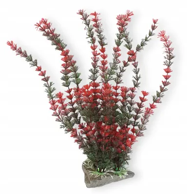 Immagine prodotto di Piante per acquario artificiali XL3, decorazione acquario con base in pietra, pianta finta per pesci, 33 x 20 cm
