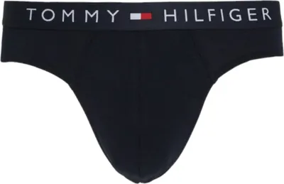 Zdjęcie produktu dla Tommy Hilfiger Majtki UM0UM031820SY