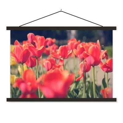 Produktbild von MuchoWow® Textilposter Tulpen - Blumen - Natur 60x40 cm mit schwarzem Rahmen - Hölzernes
