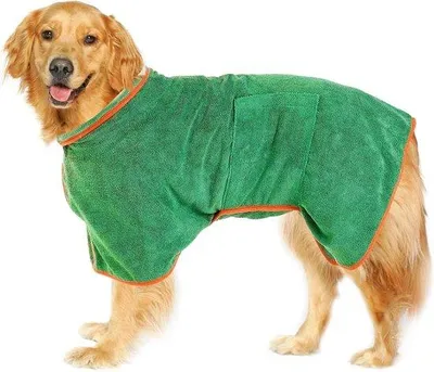 Immagine prodotto di Costume da bagno per cani - Taglia M - Verde - Costume da bagno per cani