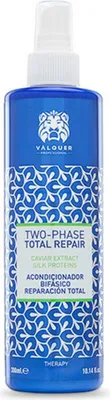 Produktbild von Valquer Acondicionador Bifasico R T 300