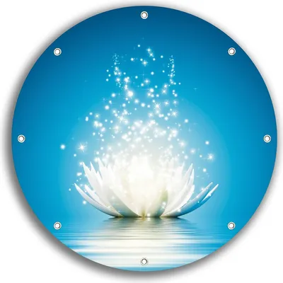 Produktbild von Wallario rundes Outdoor-Poster für Garten oder Balkon, Motiv Lotosblüte auf Wasser, 30 cm Durchmesser