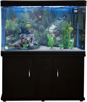 Produktbild von 300 Liter Heimaquarium Aquarium mit Unterschrank Aquariumkobination 143.5cm H x 120.5cm B x 39cm T