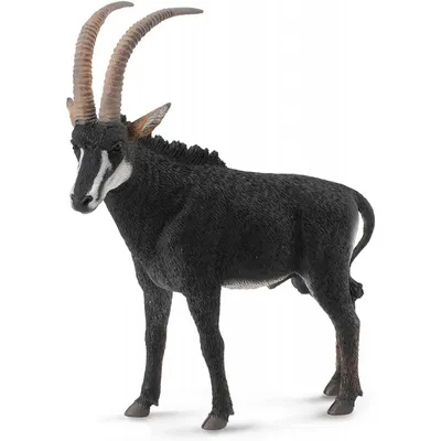 Immagine prodotto di COLLECTA Antilope zibellino - (L)