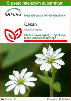 Obrázok produktu pre SAFLAX - čakan - Stellaria media - 1000 Semená - S pestovateľským substrátom bez klíčkov