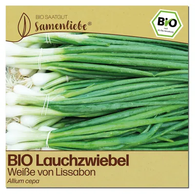 Produktbild von Samenliebe Lauchzwiebel Samen | Weiße von Lissabon - samenfestes Saatgut