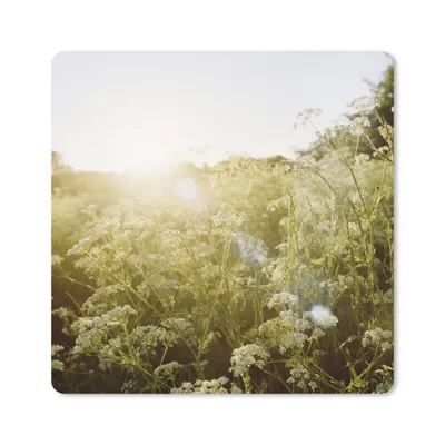 Produktbild von MuchoWow® Mauspad Mousepad Blumen - Weiß - Frühling 20x20 cm - Mousepads - Maus Mat - Pad - Mausunterlage - Desk Mat - Bureauartikeln