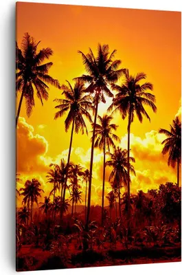 Produktbild von Bild auf Leinwand - Leinwandbild - Einteilig - Palmen Bäume Sonne - 70x100cm - Wand Bild - Wanddeko - Wandbilder - Leinwanddruck - Wanddekoration - Leinwand bilder - Wandbild - PA70x100-0187