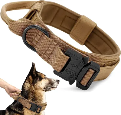 Produktbild von Taktisches Nylon-Hundehalsband mit Kontrollgriff und Metallschnalle - Verstellbar für mittelgroße und große Hunde
