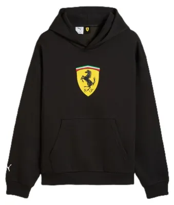 Produktbild von Sweatshirts Puma Ferrari 63700101